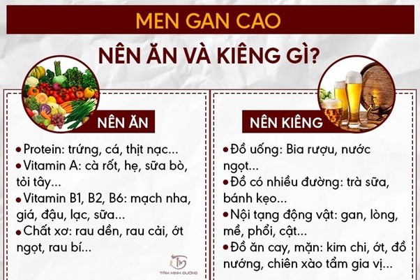 Nguyen Nhan Men Gan Cao