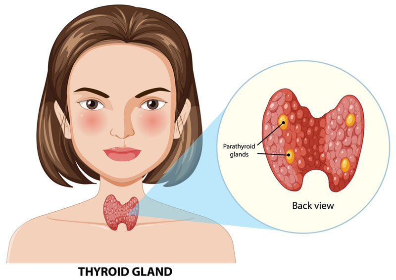Nhân Thùy Phải Tuyến Giáp Có Nguy Hiểm Không