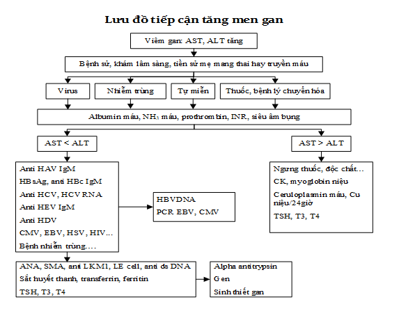 Phác đồ điều Trị Viêm Gan Cấp