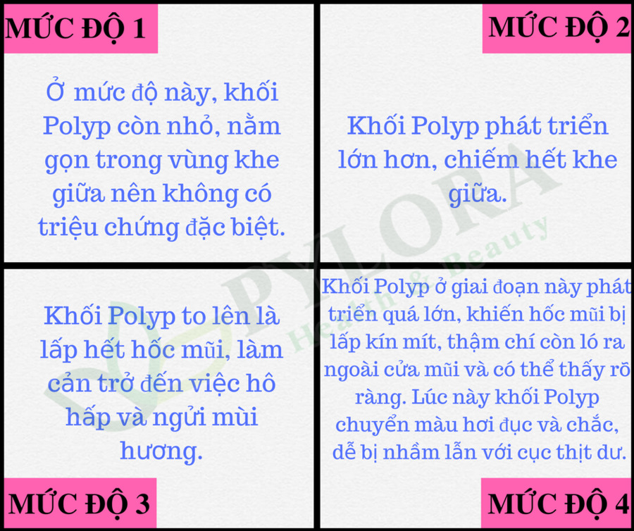 Phân độ Polyp Mũi