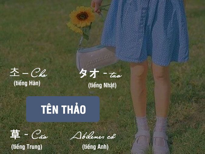 Phương Thảo Tên Tiếng Anh La Gì
