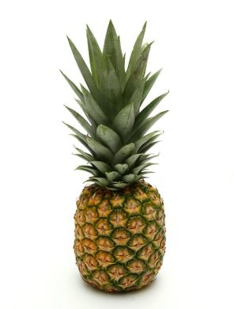 Pineapple Là Gì
