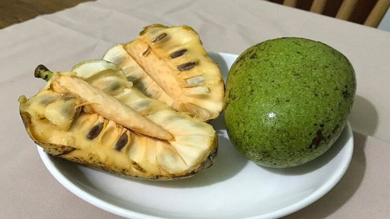 Quả Bình Bác