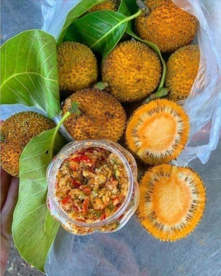 Quả Gáo Chín