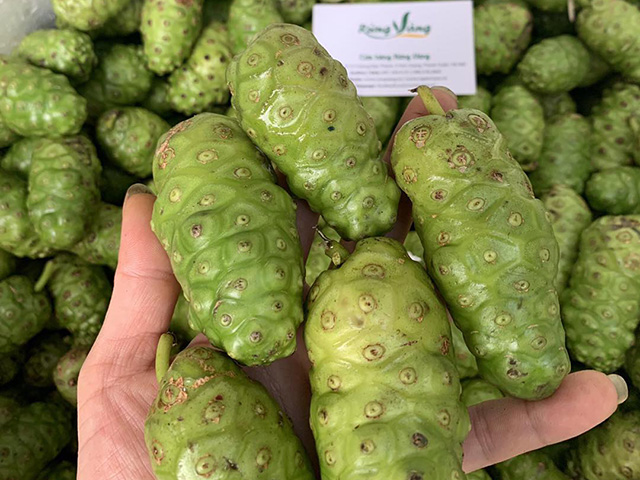 Quả Nhàu Tươi