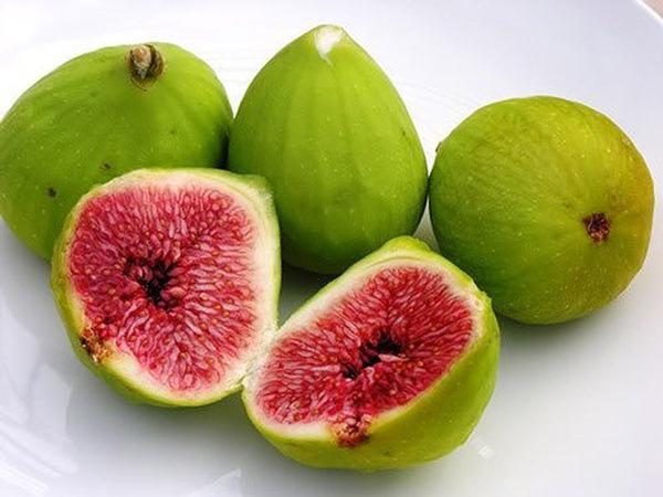 Quả Sung Tiếng Anh Là Gì