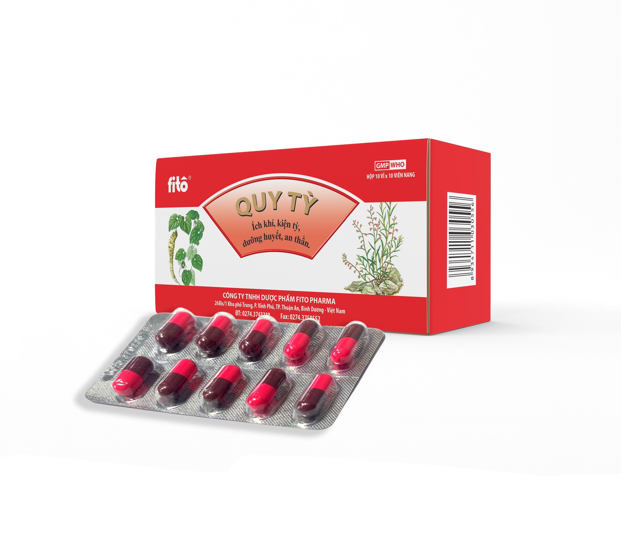 Quy Tỳ Fito