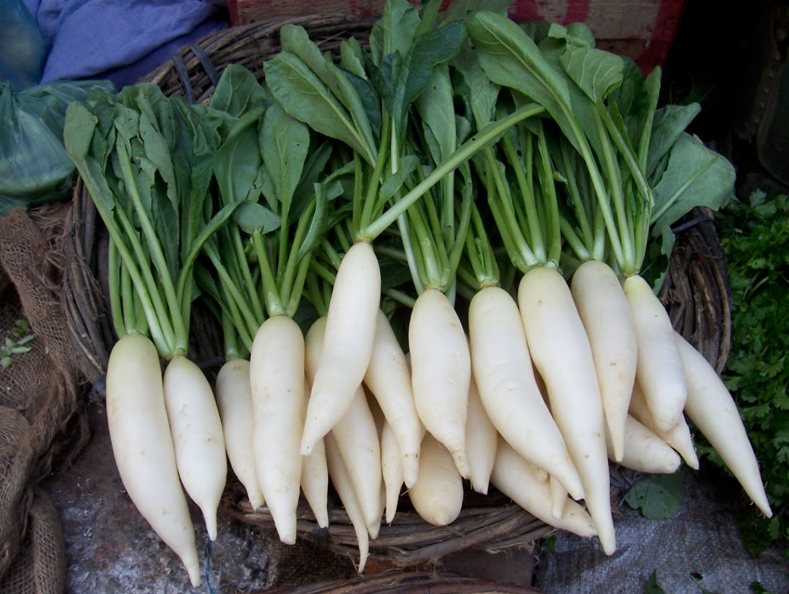 Rau Cải Củ