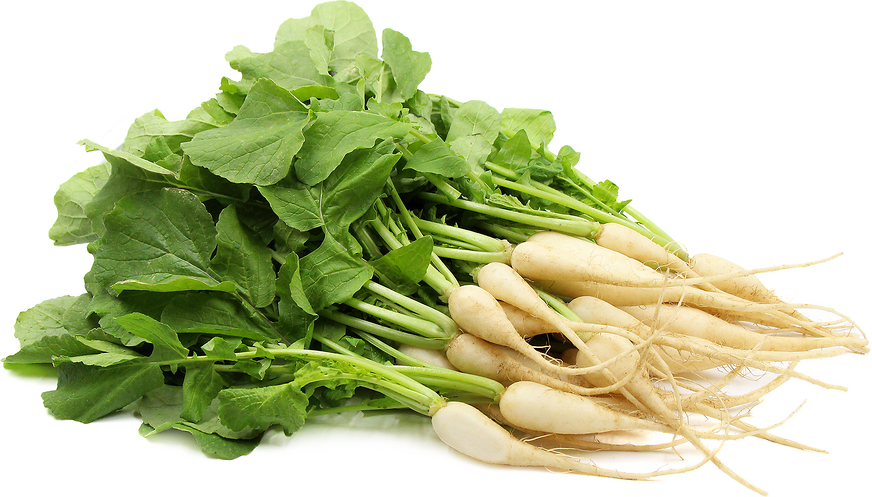 Rau Củ Cải