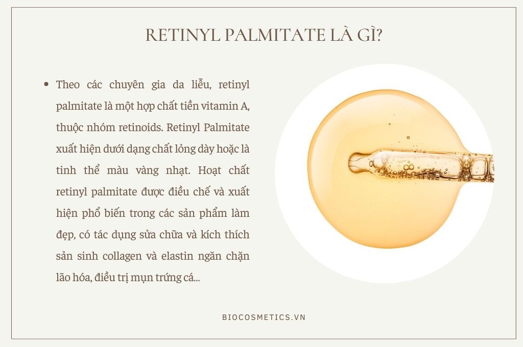 Retinyl Palmitate Là Gì