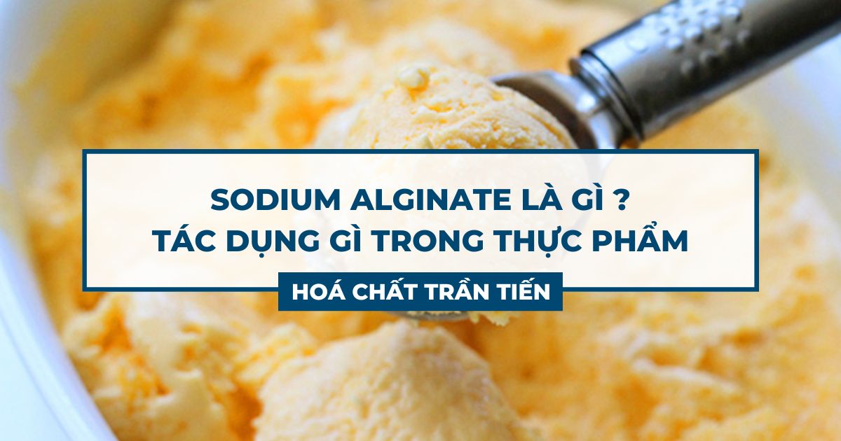 Sodium Alginate Là Gì