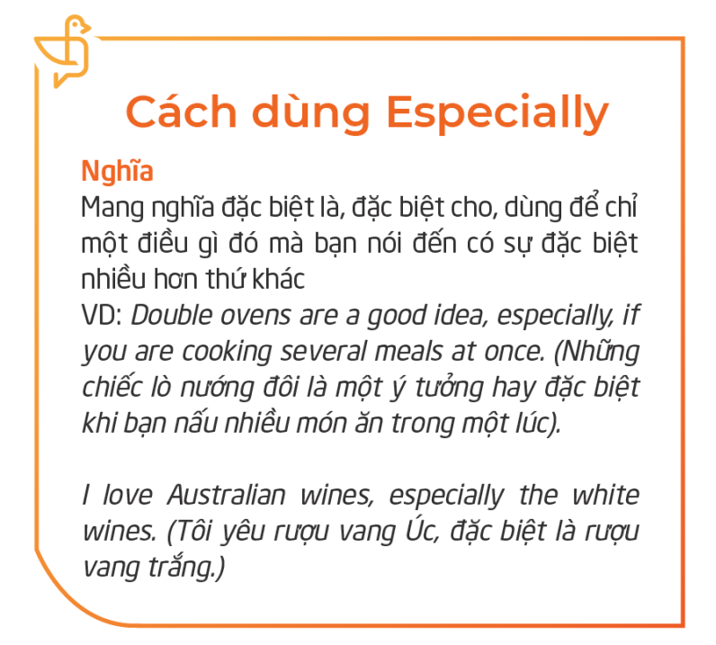 Special Nghĩa Là Gì