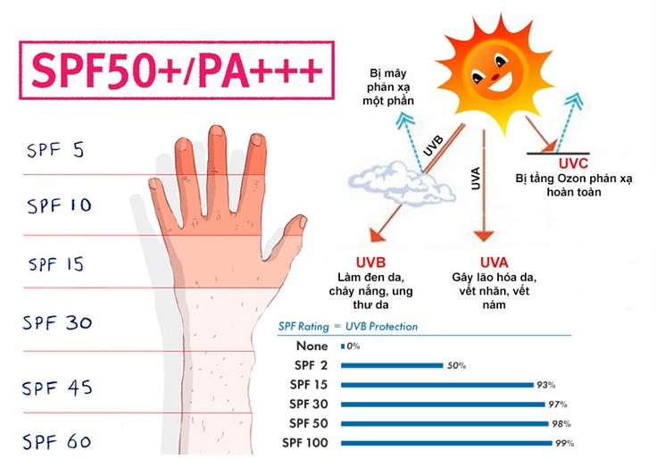 Spf50+ Pa++++ Là Gì