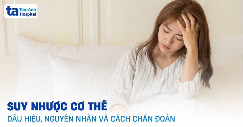 Suy Nhược Cơ The Là Gì