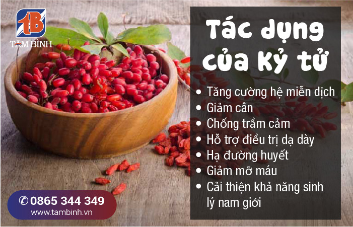 Tác Dụng Của Câu Kỷ Tử