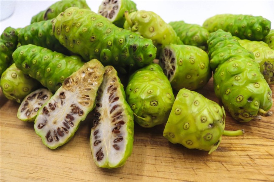 Tác Dụng Của Quả Nhàu Tươi