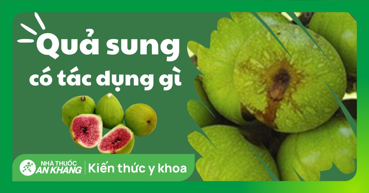 Tác Dụng Của Sung