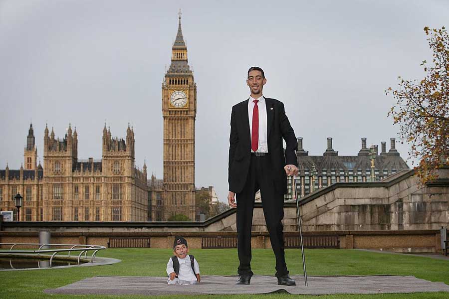 Tall Là Gì
