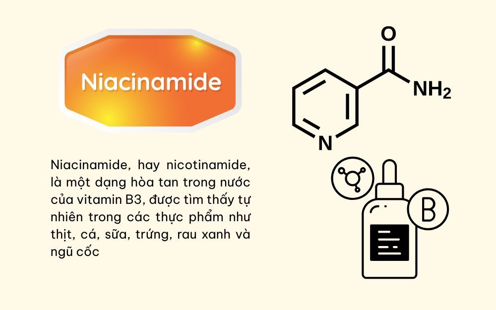 Thành Phần Niacinamide