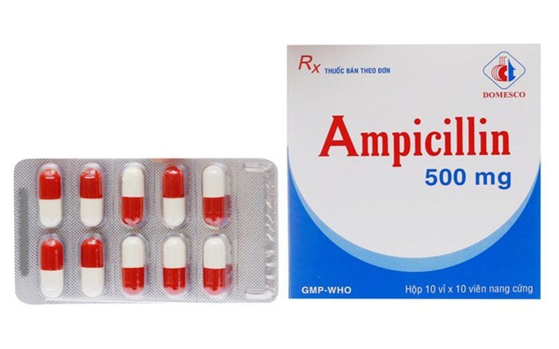 Thuốc Ampicillin 500mg