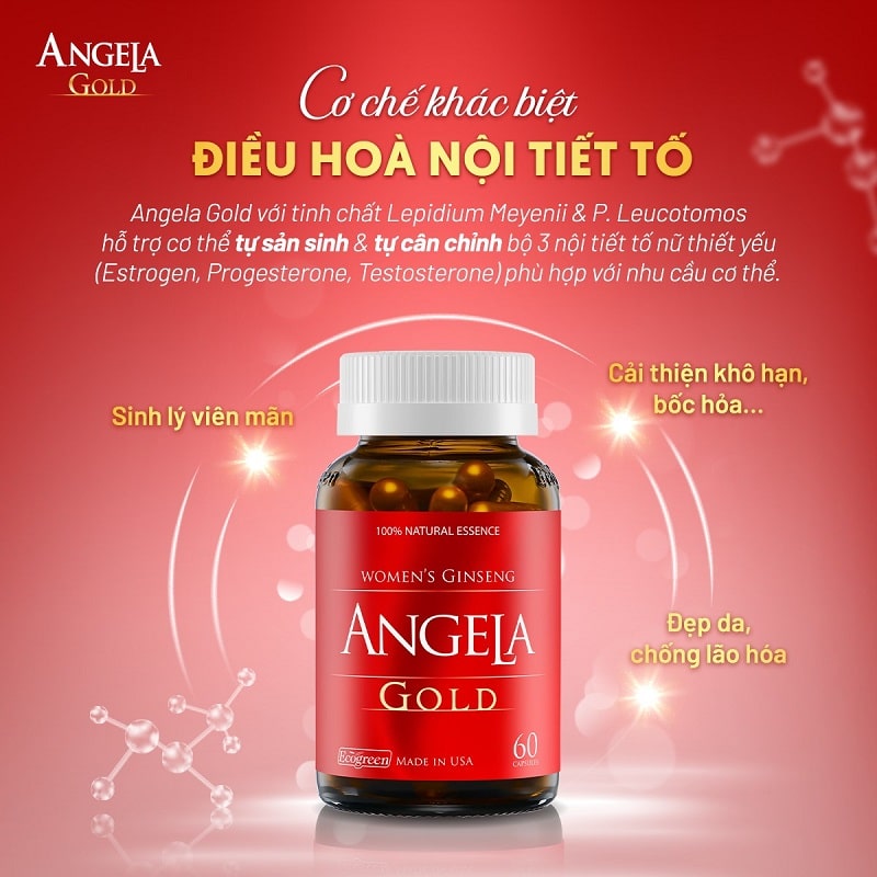 Thuốc Hỗ Trợ Nội Tiết Tố Nữ