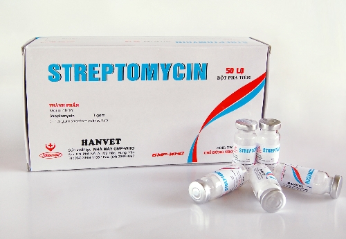 Thuốc Streptomycin Thú Y
