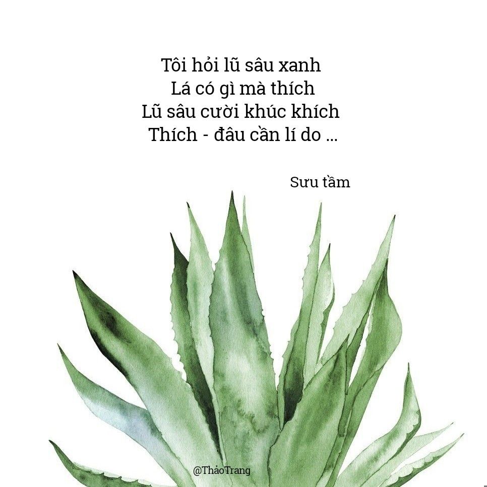 Tôi Hỏi Chú Sâu Xanh