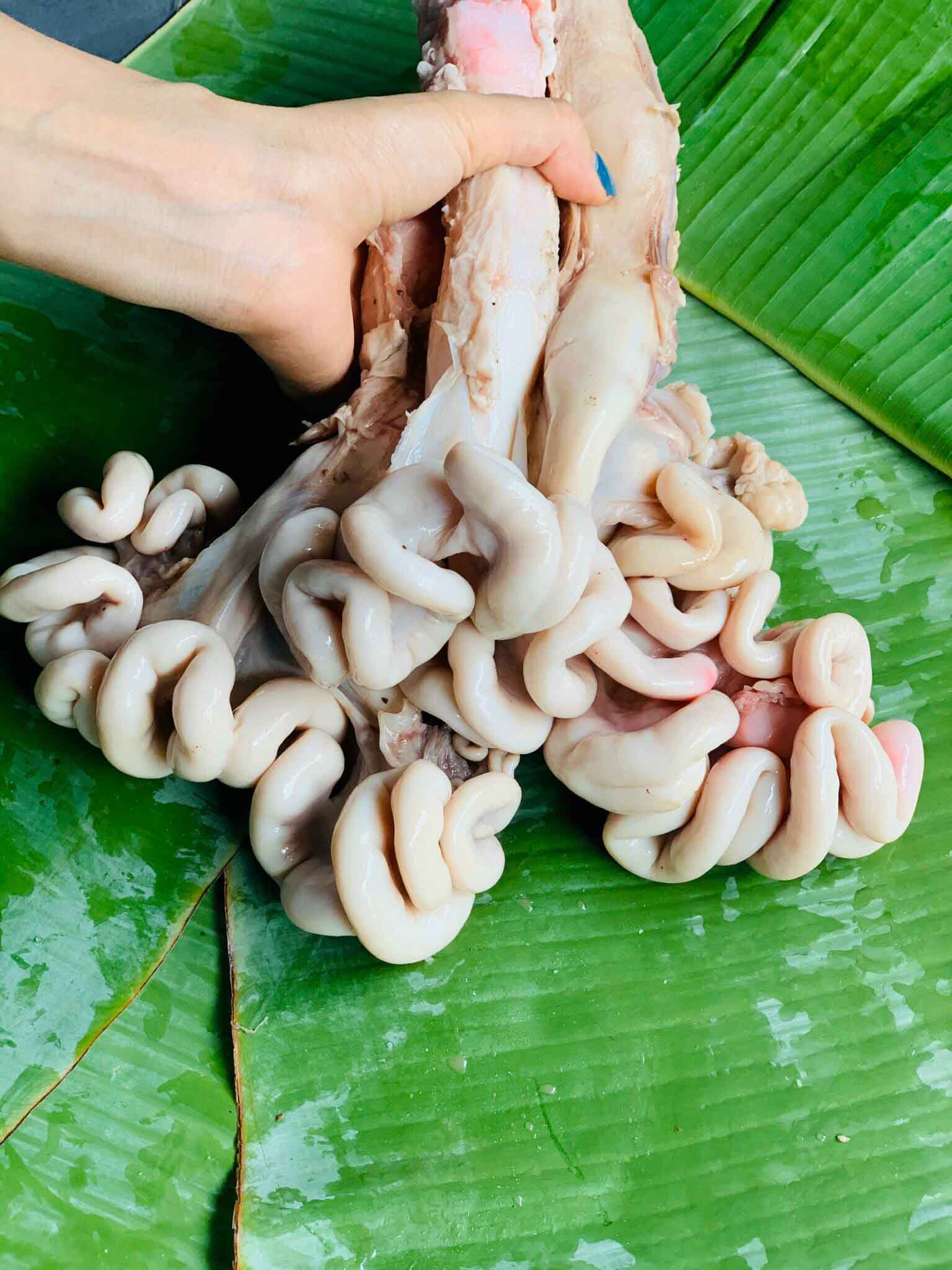 Trường Lợn Là Gì