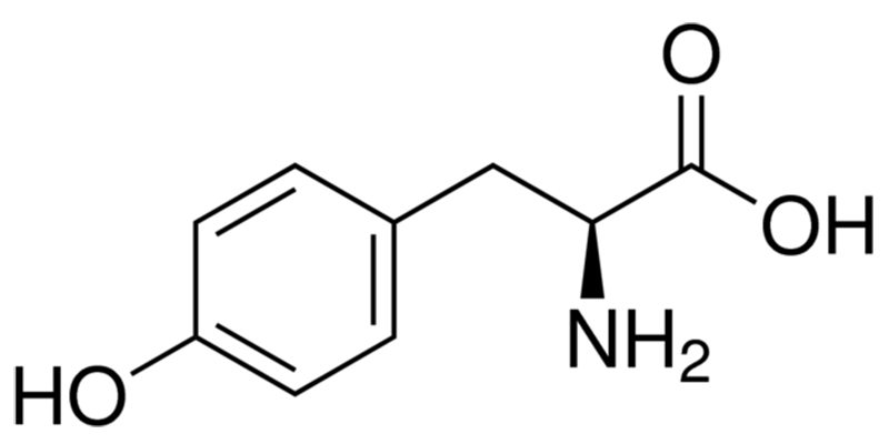Tyrosine Là Gì
