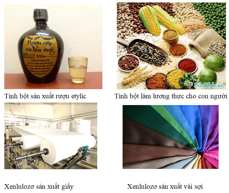 ứng Dụng Của Xenlulozo