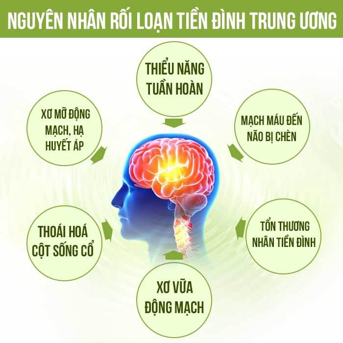 Vì Sao Bị Rối Loạn Tiền đình