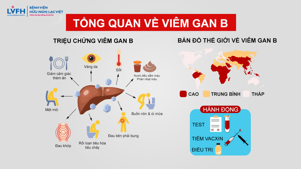 Viêm Gan B Do đâu