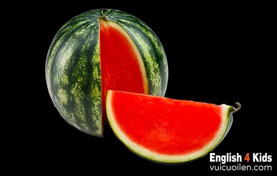 Water Melon Là Gì