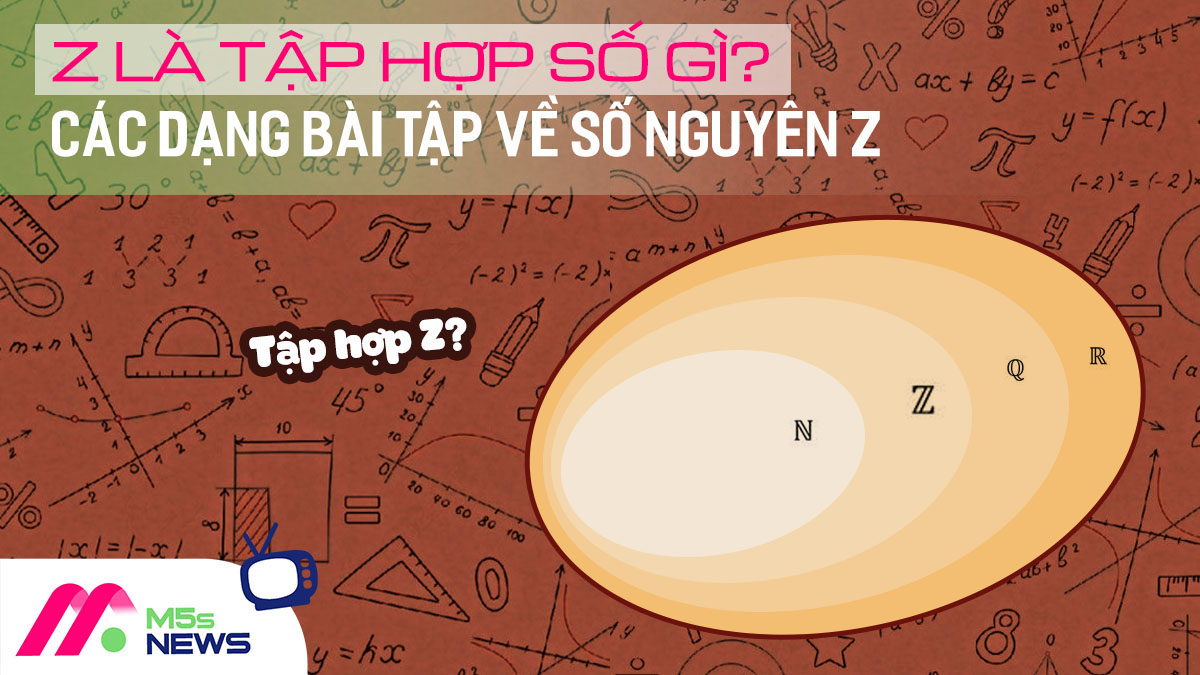 X Thuộc Z Là Gì