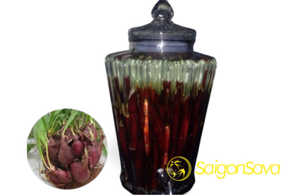 Cách Ngâm Rượu Sâm đại Hành Tươi