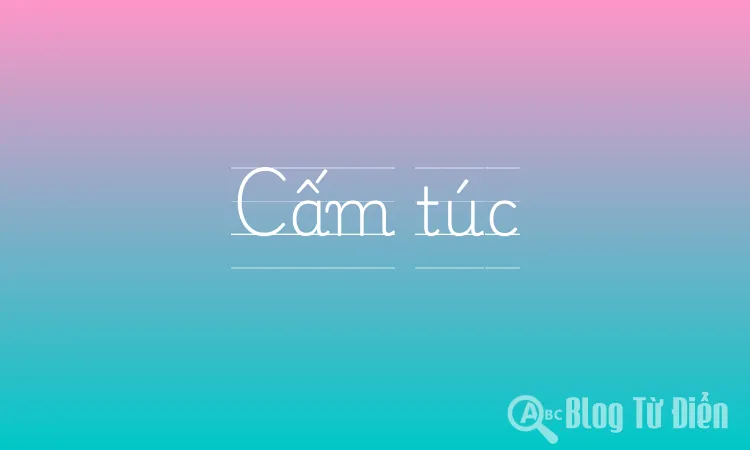 Cấm Túc Là Gì