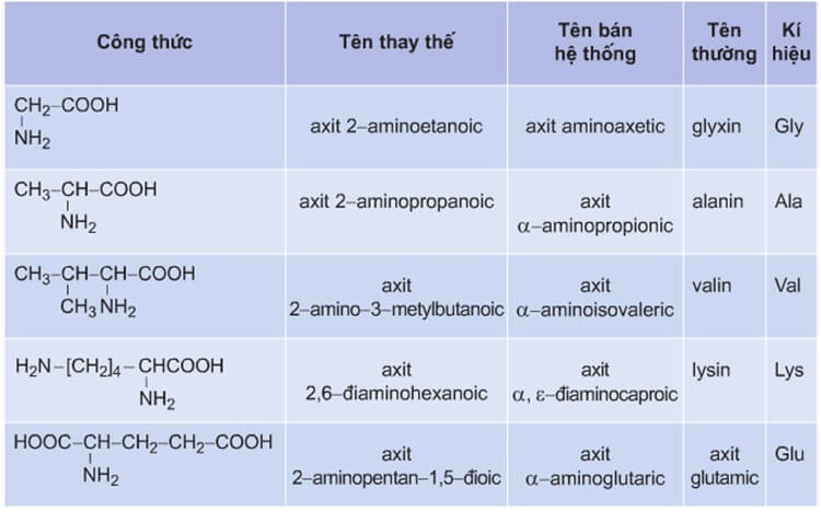 Công Thức Amino Axit
