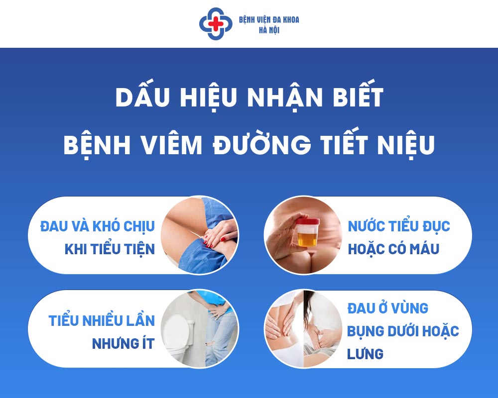 Dấu Hiệu Của Viêm đường Tiết Niệu