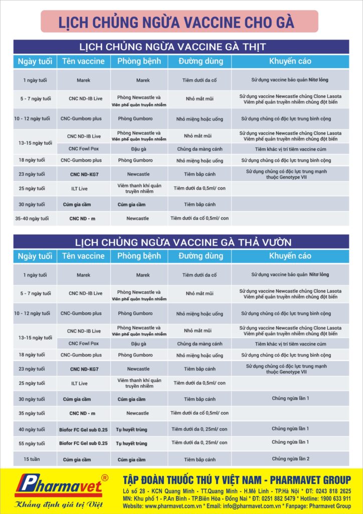 Lịch Tiêm Vắc Xin Cho Gà