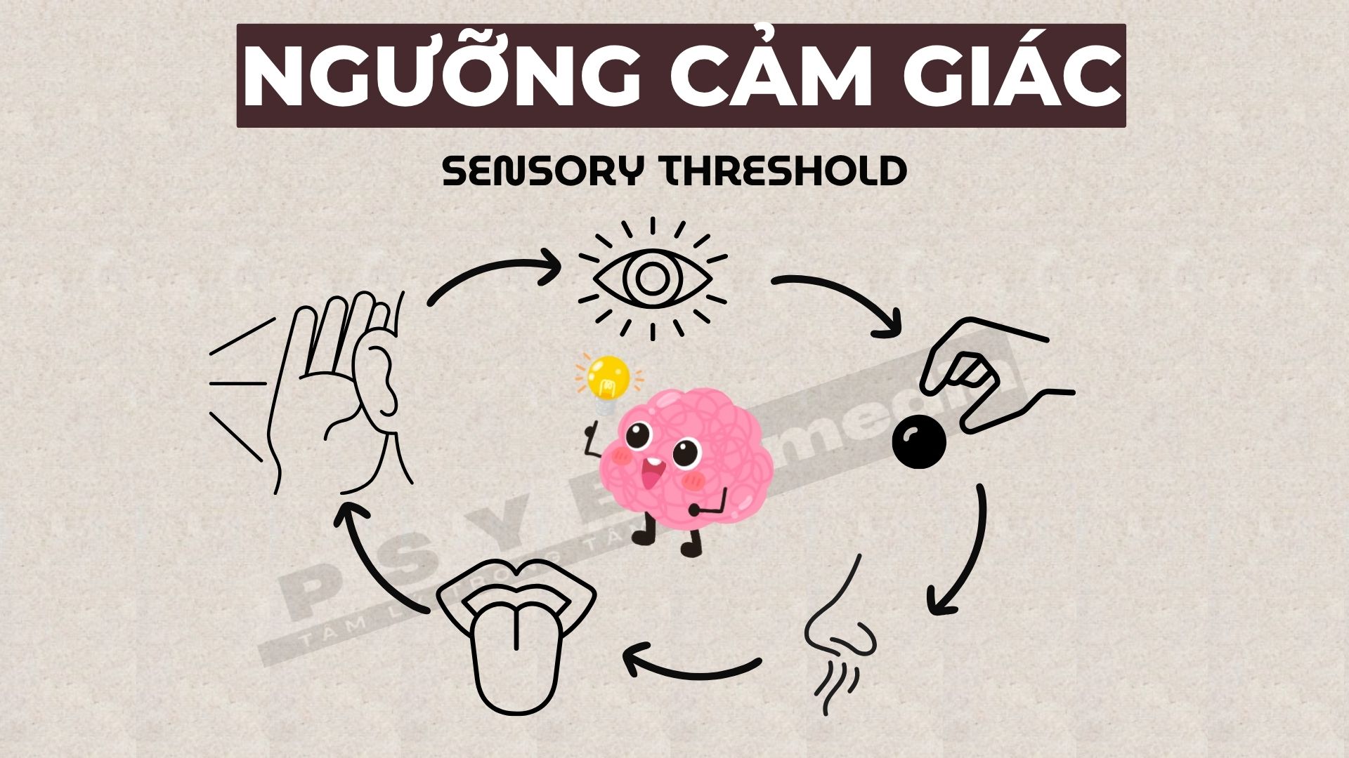 Ngưỡng Cảm Giác Là Gì