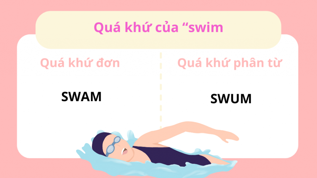 Swim Là Gì