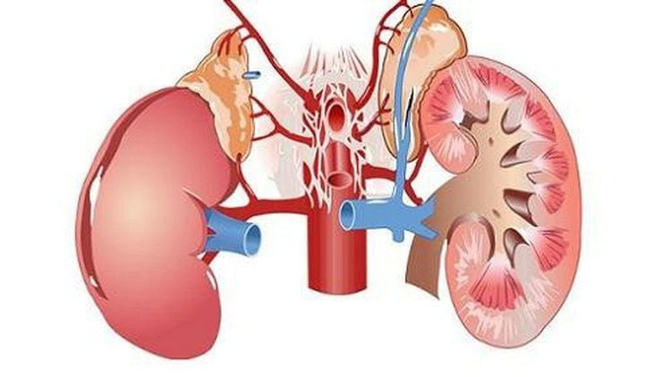 Thận âm Hư ở Nữ Giới