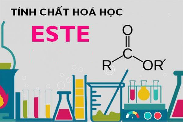 Tính Chất Hóa Học Quan Trọng Nhất Của Este Là