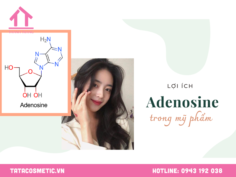 Adenosine Trong Mỹ Phẩm