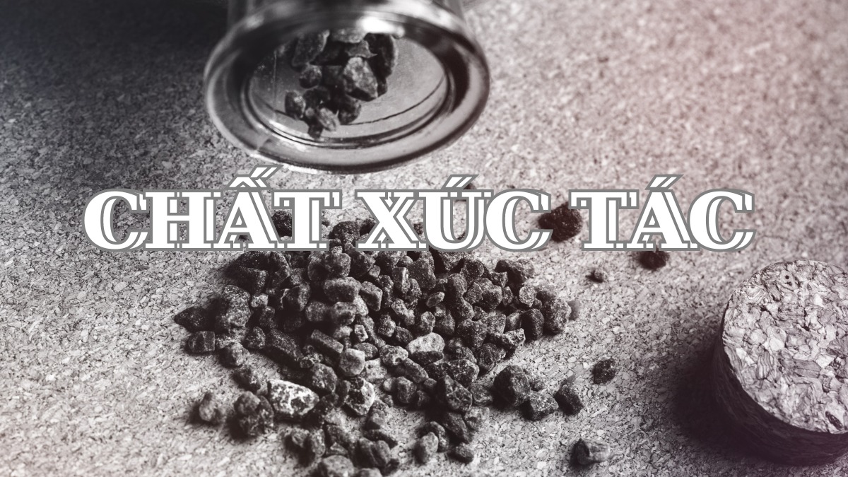 Chất Xúc Tác Là