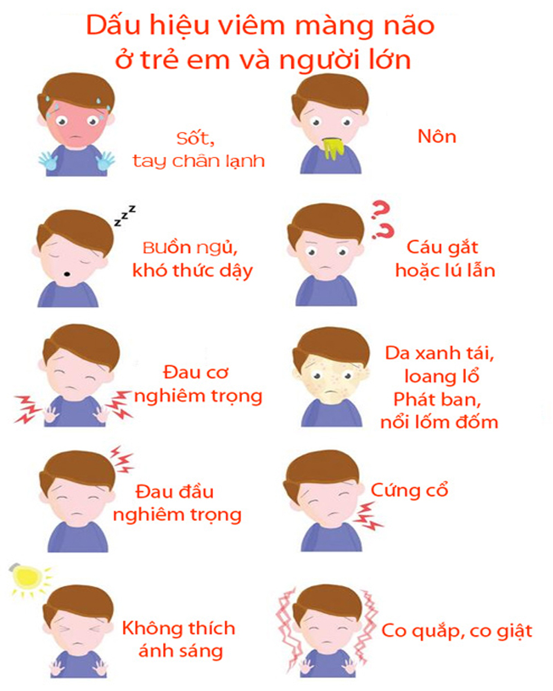 Dấu Hiệu Viêm Não