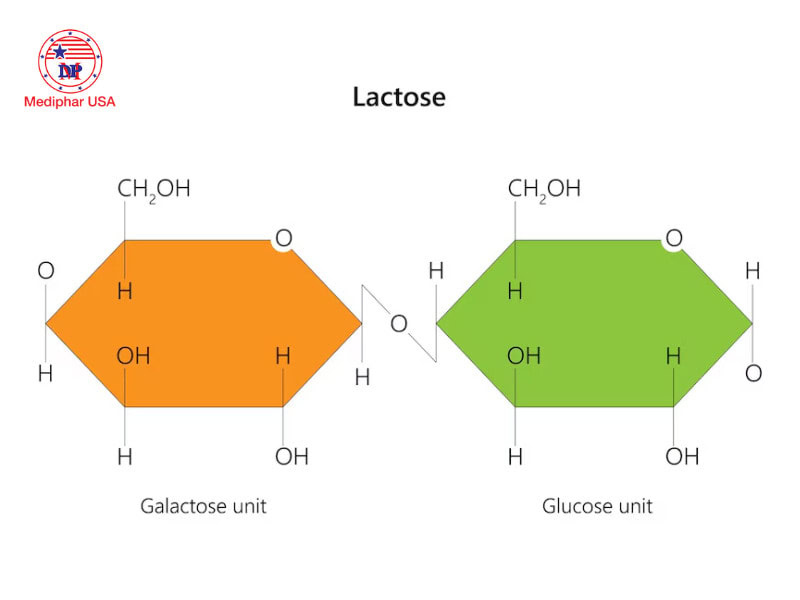 đường Lactose Là Gì