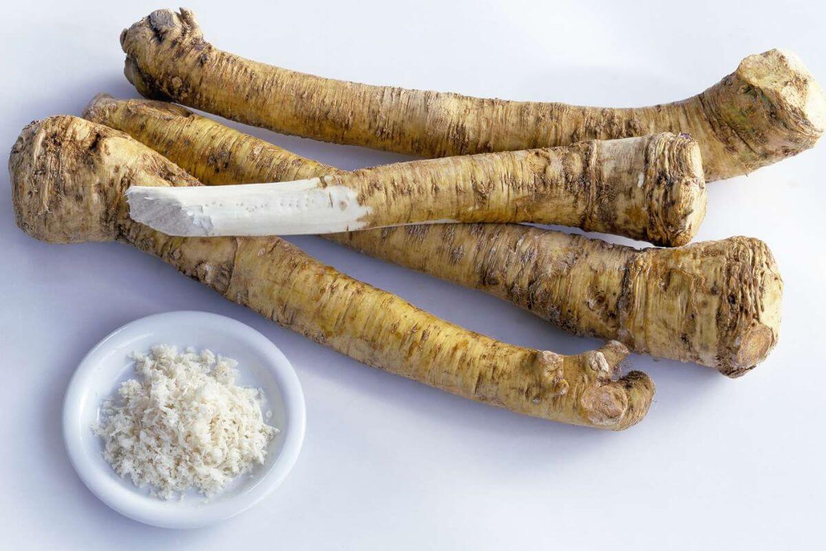 Horseradish Là Gì