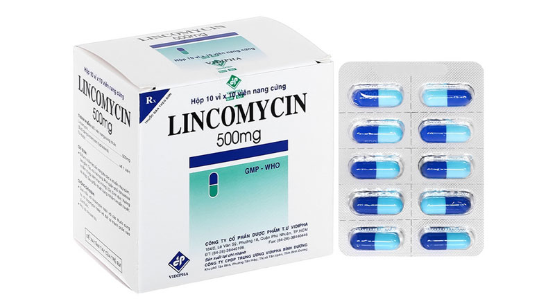 Kháng Sinh Lincomycin