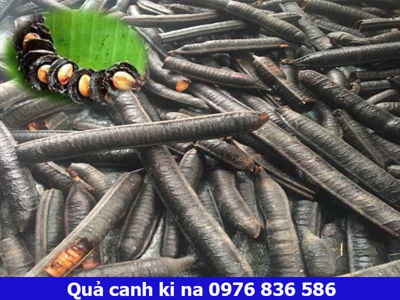 Quả Canh Ki Na